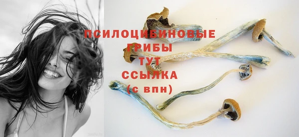 бошки Вяземский