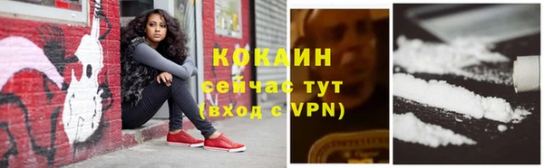 бошки Вяземский