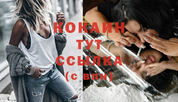 дживик Вязники