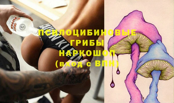 бошки Вяземский