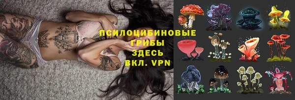 бошки Вяземский