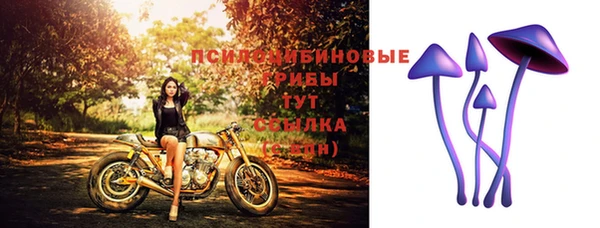 бошки Вяземский