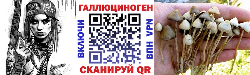 omg вход Наро-Фоминск Псилоцибиновые грибы мухоморы