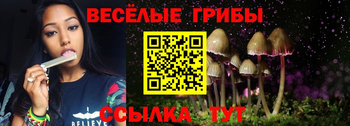 Галлюциногенные грибы Psilocybe  Вход с VPN  Наро-Фоминск 